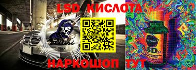 стафф Лесосибирск