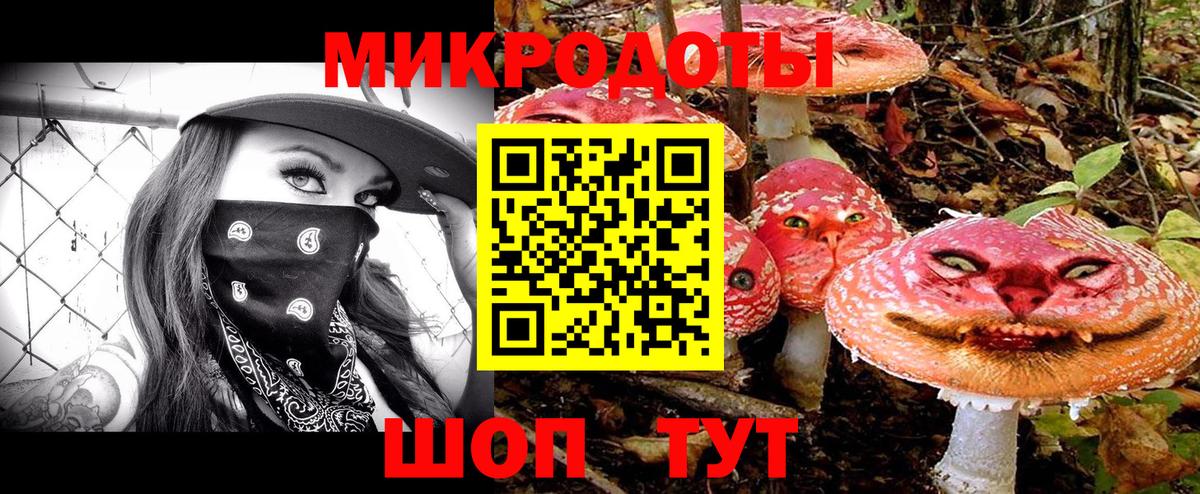Псилоцибиновые грибы прущие грибы Ефремов