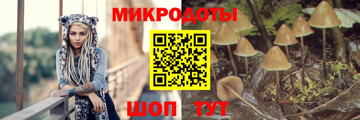 Ефремов  Псилоцибиновые грибы ЛСД  Вход с VPN  Галлюциногенные грибы мицелий 